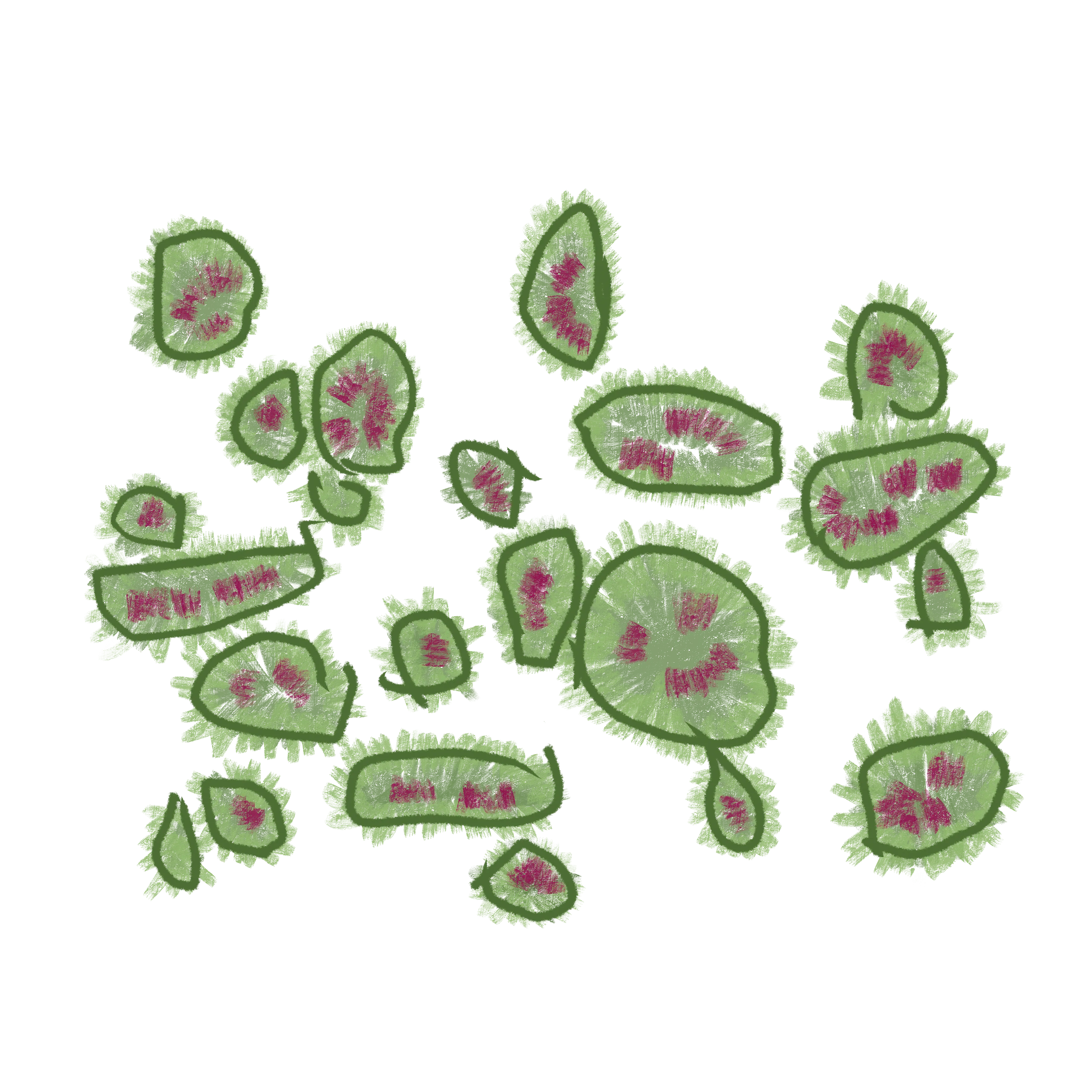 Variation - Thiết kế kiến trúc đa dạng